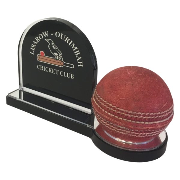 Custom - Acrylic Cricket with recess for Ball