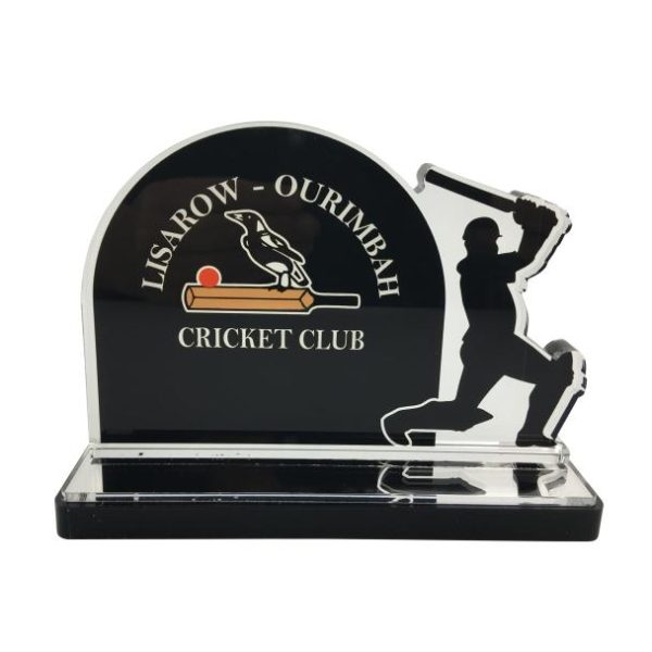 Custom - Acrylic Cricket Batter