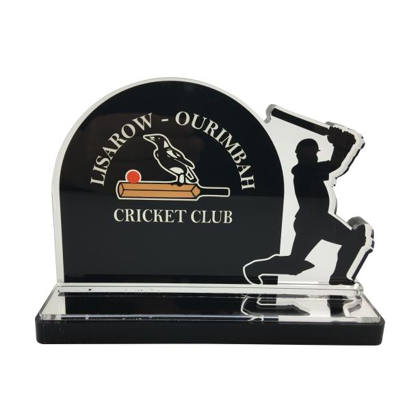 Custom- Acrylic Cricket Batter